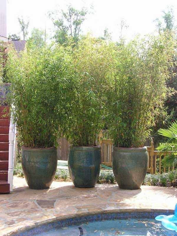 landscaping-with-potted-plants-72_7 Озеленяване със саксийни растения