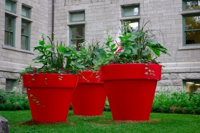 large-container-garden-ideas-68_7 Големи контейнерни градински идеи