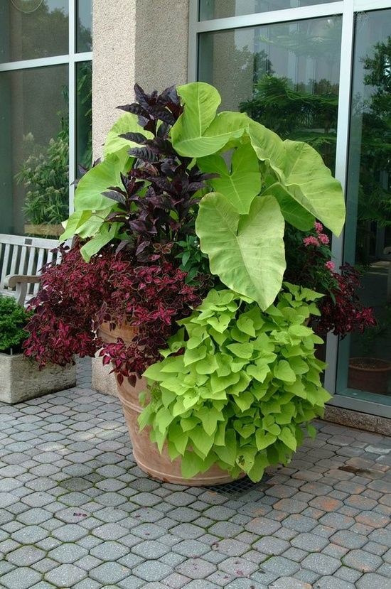 large-flower-pot-arrangements-60_12 Големи саксии за цветя