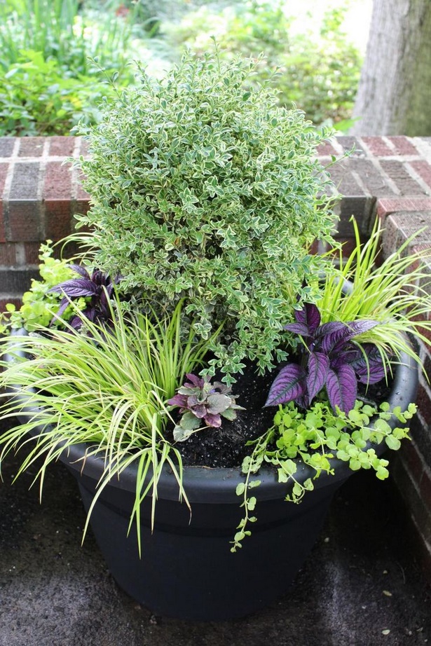 large-garden-pot-ideas-32_17 Големи градински идеи за саксия