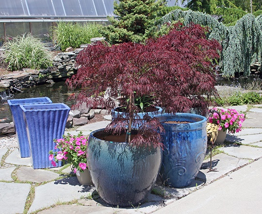 large-pots-for-plants-35_3 Големи саксии за растения