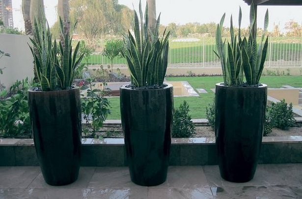 large-pots-for-plants-35_4 Големи саксии за растения