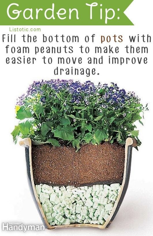 large-potted-plant-ideas-69_16 Големи саксийни идеи за растения