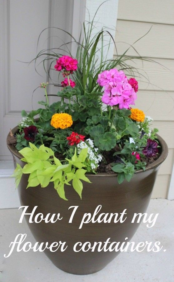 outdoor-flower-arrangements-in-pots-24_11 Външни цветни аранжировки в саксии
