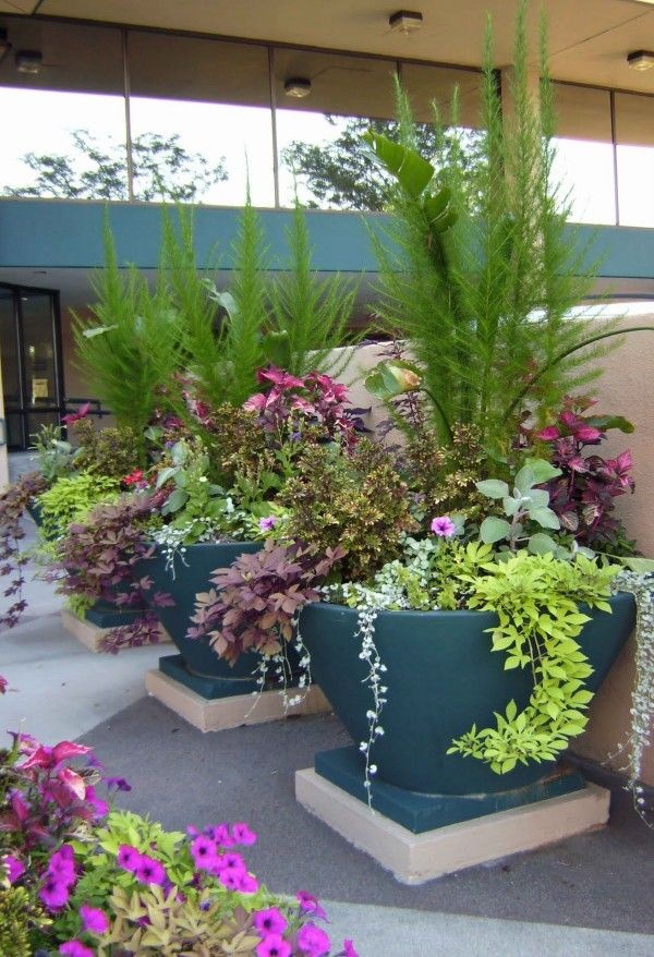 outdoor-flower-arrangements-in-pots-24_12 Външни цветни аранжировки в саксии