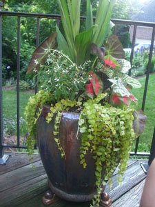 outdoor-flower-arrangements-in-pots-24_14 Външни цветни аранжировки в саксии