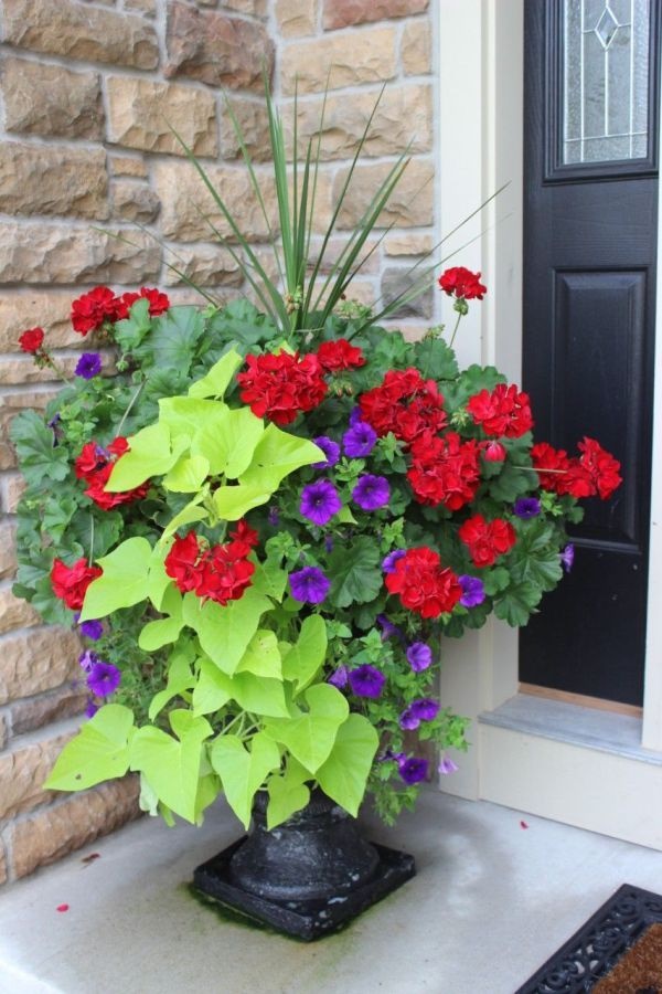outdoor-flower-arrangements-in-pots-24_18 Външни цветни аранжировки в саксии