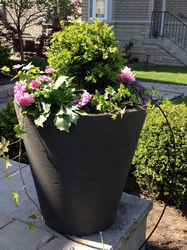 outdoor-flower-arrangements-in-pots-24_19 Външни цветни аранжировки в саксии