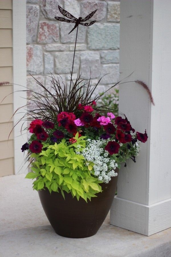 outdoor-flower-arrangements-in-pots-24_8 Външни цветни аранжировки в саксии