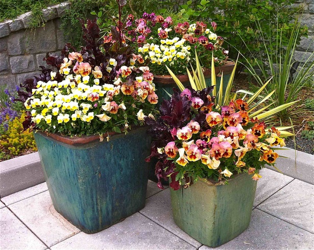 outdoor-flower-arrangements-in-pots-24_9 Външни цветни аранжировки в саксии
