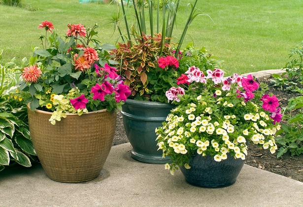 outdoor-flower-arrangements-planters-77_5 Градински аранжировки за цветя