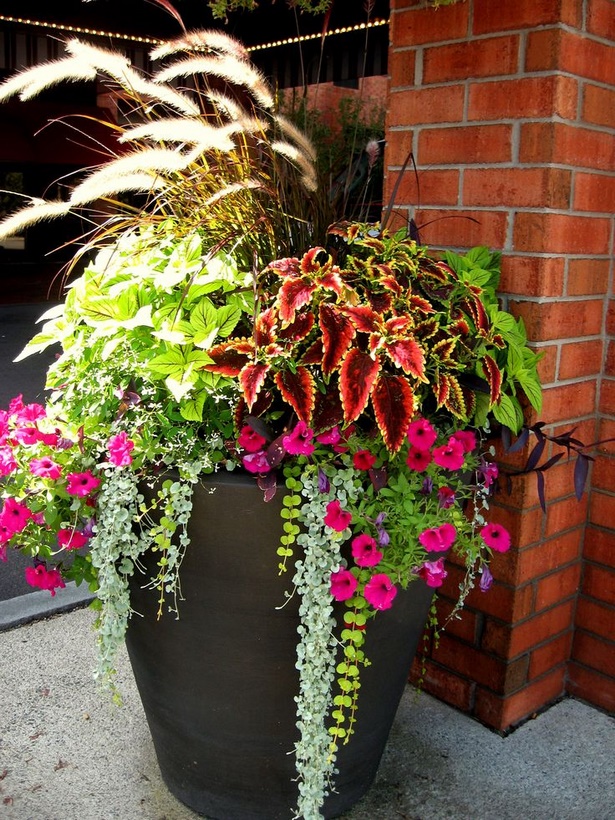 outdoor-flower-arrangements-planters-77_6 Градински аранжировки за цветя