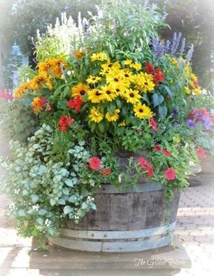 outdoor-flower-container-ideas-84_20 Открит цвете контейнер идеи