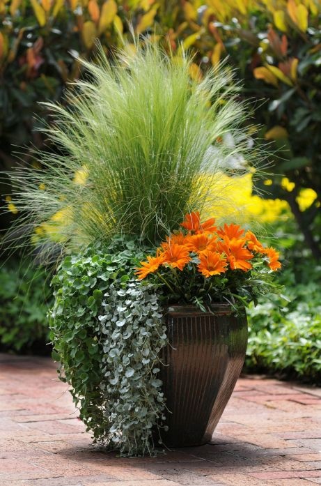 outdoor-flower-pot-arrangement-ideas-05_12 Открит саксия идеи за подреждане на цветя