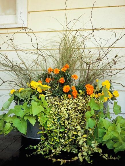 outdoor-flower-pot-arrangement-ideas-05_16 Открит саксия идеи за подреждане на цветя