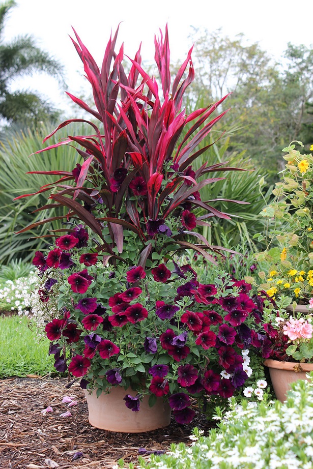 outdoor-flower-pot-arrangement-ideas-05_18 Открит саксия идеи за подреждане на цветя