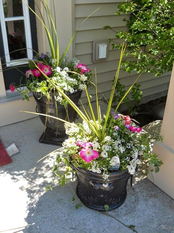 outdoor-flower-pot-arrangements-36_13 Открит саксия аранжировки