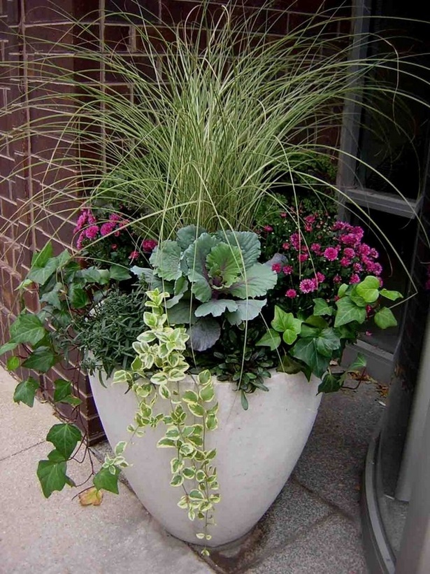 outdoor-flower-pot-arrangements-36_17 Открит саксия аранжировки