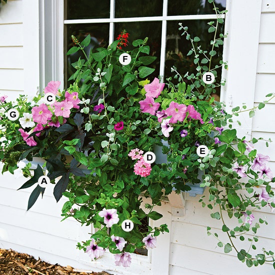 outdoor-flower-pot-arrangements-36_3 Открит саксия аранжировки