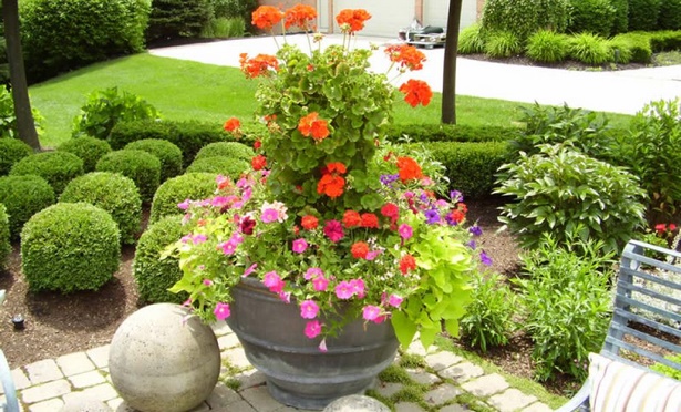 outdoor-flower-pot-arrangements-36_9 Открит саксия аранжировки