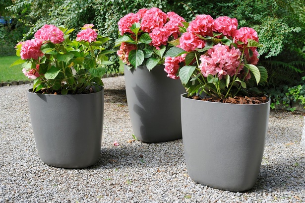 outdoor-flower-pots-55_17 Външни саксии за цветя