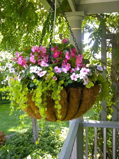 outdoor-hanging-planter-ideas-98_17 Открит висящи плантатор идеи