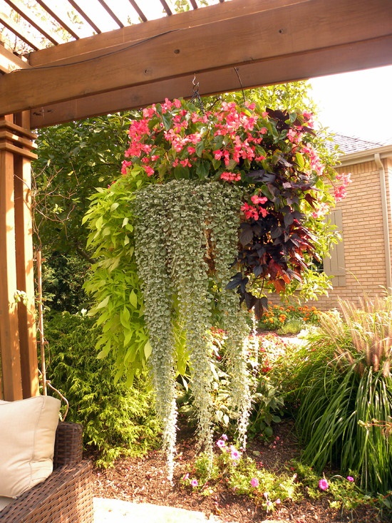 outdoor-hanging-planter-ideas-98_4 Открит висящи плантатор идеи
