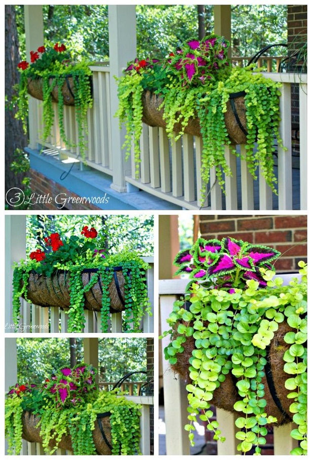 outdoor-hanging-planter-ideas-98_6 Открит висящи плантатор идеи