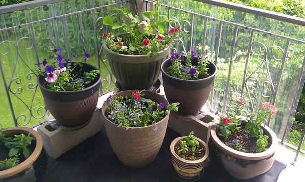 outdoor-plant-pot-ideas-40_4 Открито растение саксия идеи