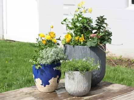 outdoor-planter-arrangements-50_6 Организиране на плантатор на открито