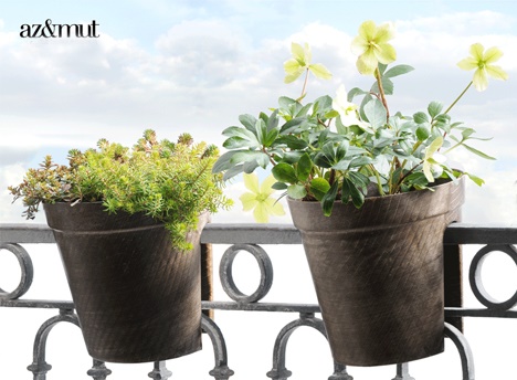 outdoor-plants-for-pots-38_15 Градински растения за саксии