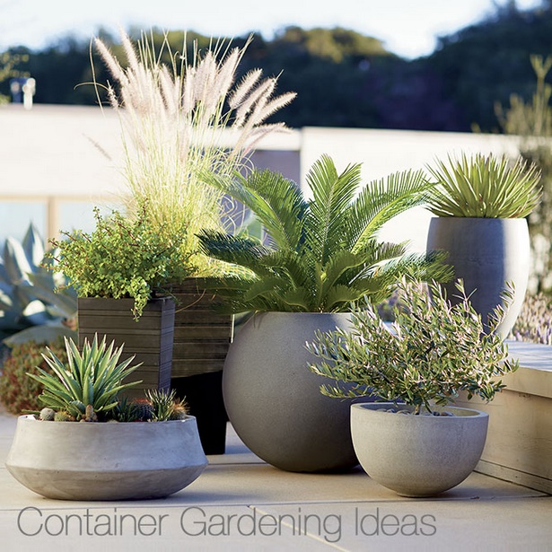 outdoor-plants-in-pots-ideas-88_19 Външни растения в саксии идеи
