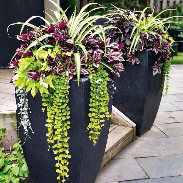 outdoor-plants-in-pots-ideas-88_4 Външни растения в саксии идеи