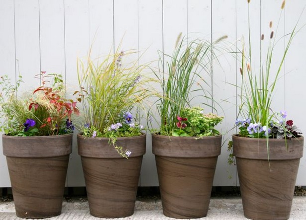 outdoor-plants-in-pots-42_18 Външни растения в саксии