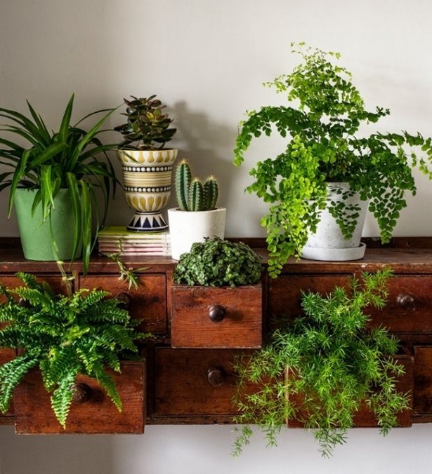 outdoor-pot-plants-ideas-85_4 Открит саксия растения идеи
