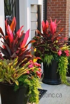 outdoor-potted-plant-arrangements-30_12 Външни саксийни растения