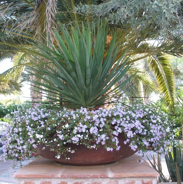 outdoor-potted-plant-arrangements-30_13 Външни саксийни растения