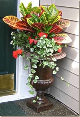 outdoor-potted-plant-arrangements-30_9 Външни саксийни растения