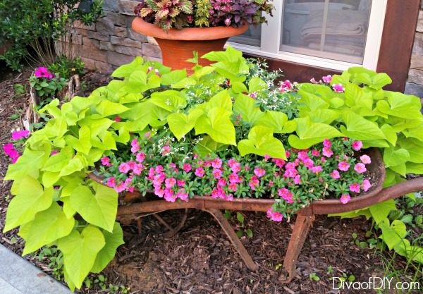 outside-flower-planters-ideas-25_14 Идеи за външни цветя