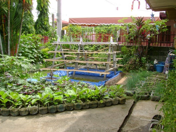 patio-gardening-for-beginners-05_18 Вътрешен двор градинарство за начинаещи