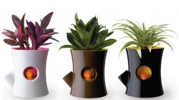 plant-pot-designs-73_3 Дизайн на саксии