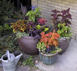planter-gardening-37_8 Градинарство