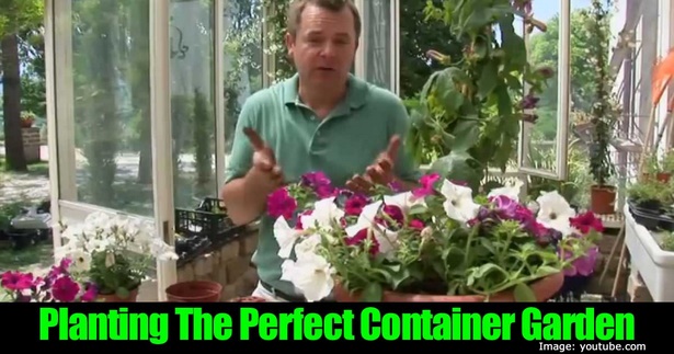planting-a-container-garden-87_6 Засаждане на контейнерна градина