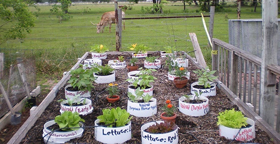 planting-a-garden-in-pots-09_4 Засаждане на градина в саксии