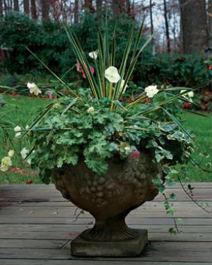 planting-flower-pots-ideas-03_8 Засаждане на саксии за цветя Идеи