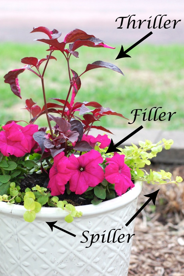planting-flower-pots-37_9 Засаждане на саксии за цветя
