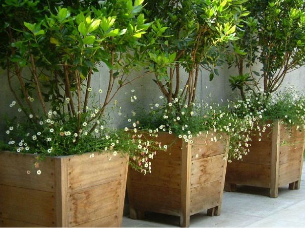 plants-ideas-for-outdoor-planters-19_17 Растения идеи за външни Сеялки