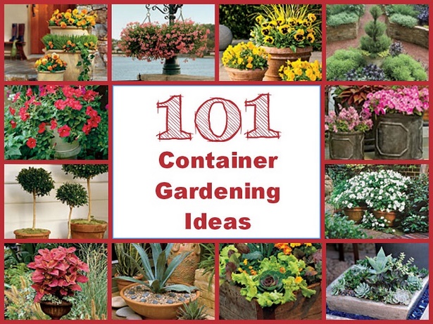 plants-in-containers-ideas-17_15 Растения в контейнери идеи