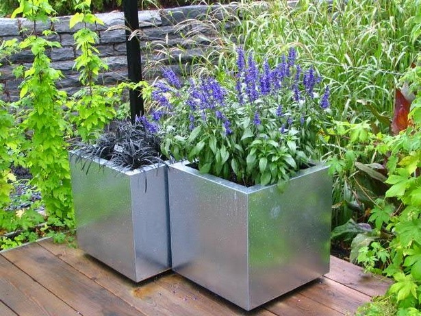 plants-in-containers-ideas-17_20 Растения в контейнери идеи