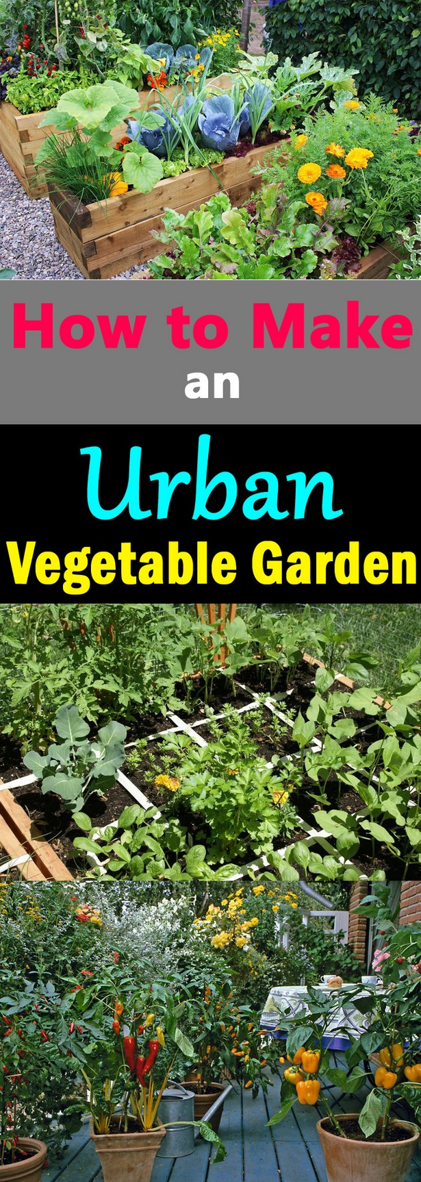 porch-vegetable-garden-55_14 Веранда зеленчукова градина